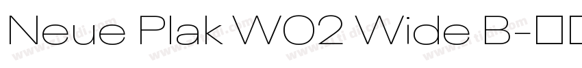 Neue Plak W02 Wide B字体转换